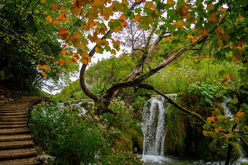 Waterfall in Plitvice Lakes National Park by Claudia Esveldt