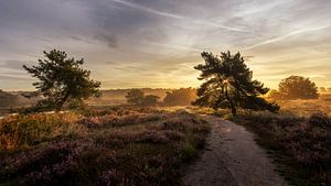 Lever de soleil à De Quin avec brouillard