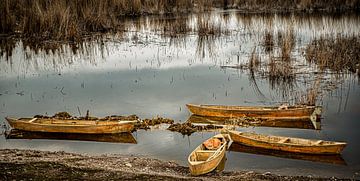 quartet of boats