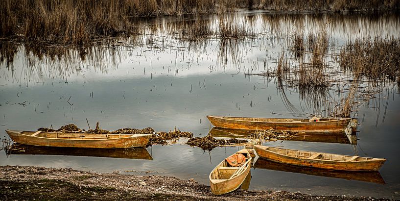 quartet of boats by Roland's Foto's
