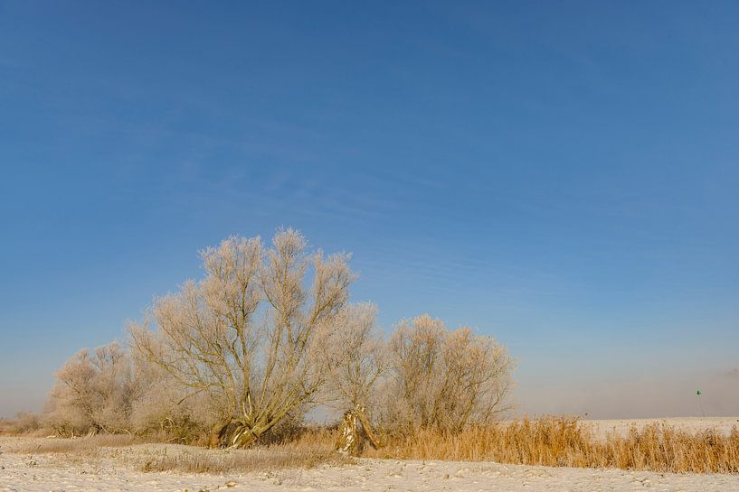 IJssel winter landscape with snow and fog by Sjoerd van der Wal Photography