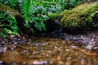 Water flow