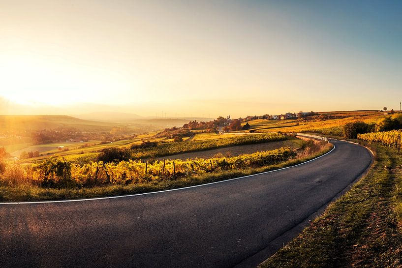 Mölsheimer Sonnenschein von Walljar