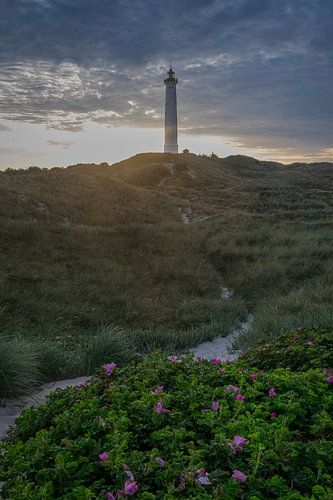 Lyngvig Fyr - De vuurtoren van Hvide Sande in Denemarken