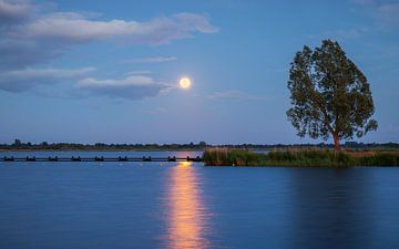 Zuidlaardermeer Kropswolde van Marga Vroom