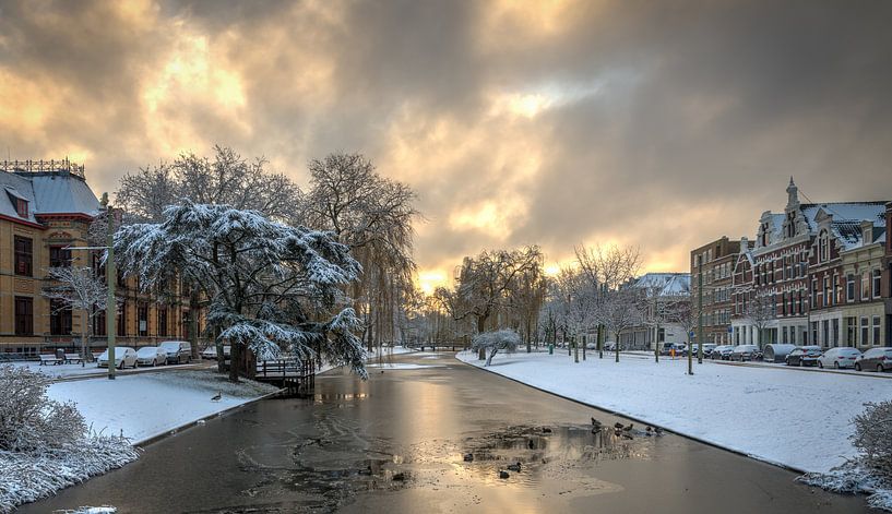 Noordsingel in Rotterdam by Mark De Rooij