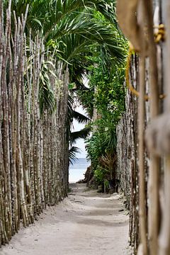 Doorgang naar het strand op de Filipijnen van Marco IJmker