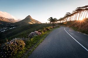 Signal Hill, Cape Town, South Africa van Mark Wijsman