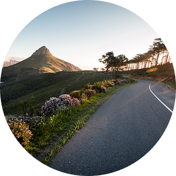 Signal Hill, Kaapstad, Zuid-Afrika van Mark Wijsman