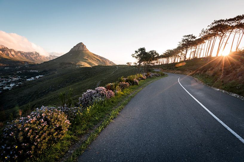 Signal Hill, Le Cap, Afrique du Sud par Mark Wijsman