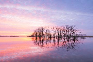 Tusschenwater - De Groeve (Netherlands) by Marcel Kerdijk