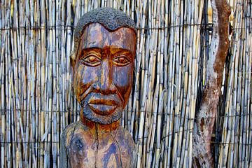 Afrikaanse beeldhouwkunst van Inge Hogenbijl