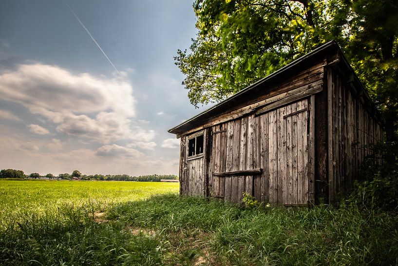 Old shed, Salland. by Frank Slaghuis