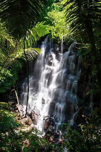 Kanto Lampo Wasserfall - Bali von Ellis Peeters