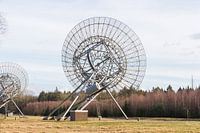 Large array radio telescope