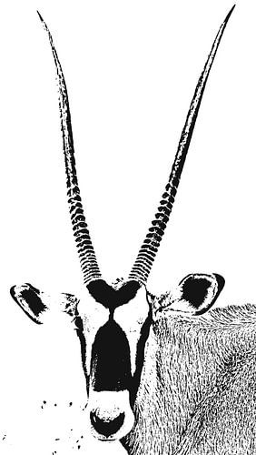 une antilope oryx monochrome mixed media