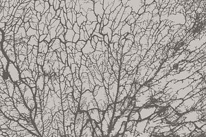 Die Seele des Waldes Grau