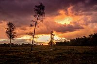 Sunrise at the Aekeringerzand