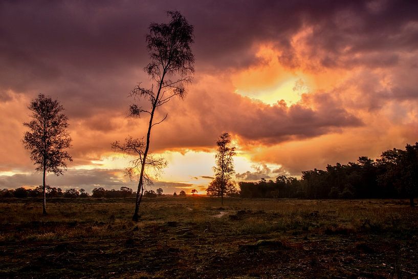 Lever de soleil à l'Aekeringerzand par Ellen Thomassen