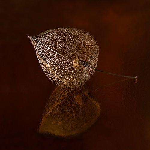 Het gouden lampionnetje met herfstachtige warme kleuren