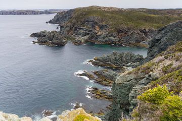 Côte sauvage de Terre-Neuve