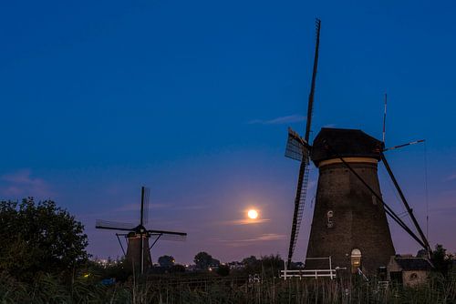 Kinderdijk met twee windmolens