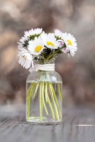 madeliefjes in een vaasje