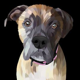 Halsband Hund von mshel tyan