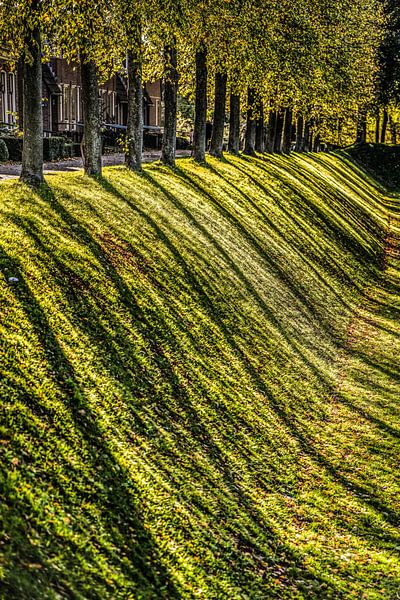 Baumgrenze auf der Festung der friesischen Stadt Dokkum im Herbst von Harrie Muis