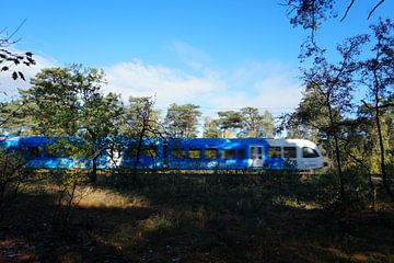 Train in forest area by Folkert Jan Wijnstra