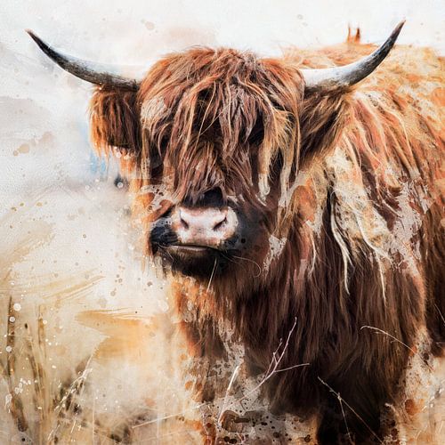 Schilderij van Schotse hooglander uitgevoerd in vierkant aquarel met aardekleuren bruin caramel