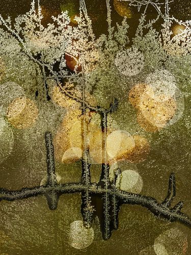 Pays des merveilles de l'hiver. Argent. Bronze vert.