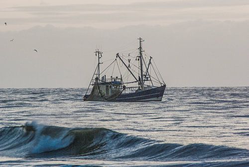 Vissersboot in het avondlicht