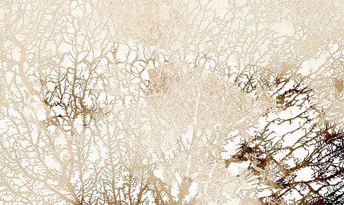 Scandinavisch bos III