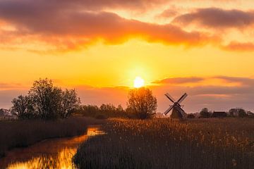 Sonnenaufgang an der Noordermolen von Henk Meijer Photography