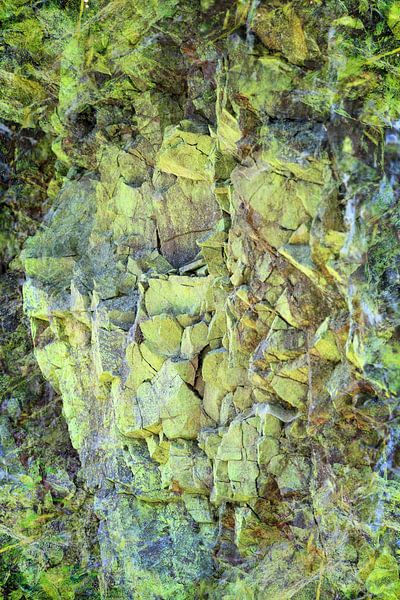 Nature and art by Daniel Dorst