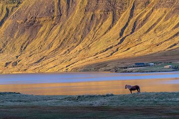 Snaefellness, Iceland by Herman van Heuvelen