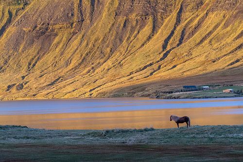 Snaefellness, Ijsland