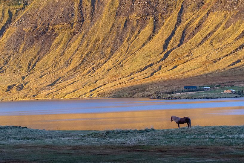 Snaefellness, Ijsland van Herman van Heuvelen