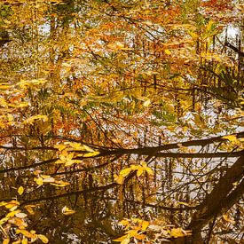 Die gefallenen Blätter von Helga Blanke