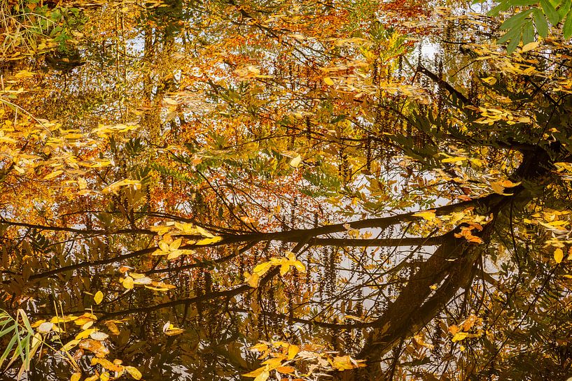 De gevallen bladeren van Helga Blanke