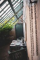 Still life grape greenhouse