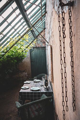 Stilleven druivenkas