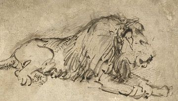 Lying lion, to the right, Rembrandt van Rijn