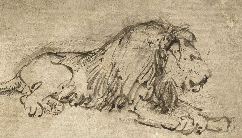 Lying lion, to the right, Rembrandt van Rijn by Ed z'n Schets