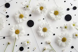 Gerbera