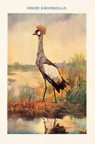 Vintage Farbe Schulschild Grau Crown Crane.