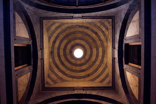 Dach Antwerpen zentral