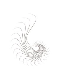 Logarithmic Spiral Geometry