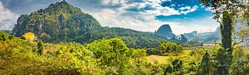 Countryside North Laos by Rietje Bulthuis